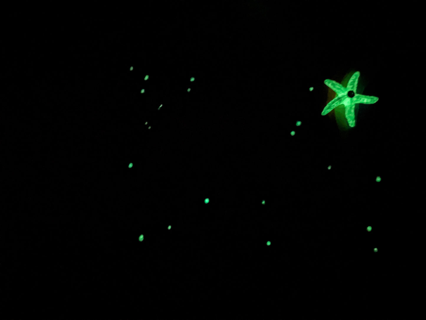 Rainbow Space Starfish Painting (Glow In the Dark)